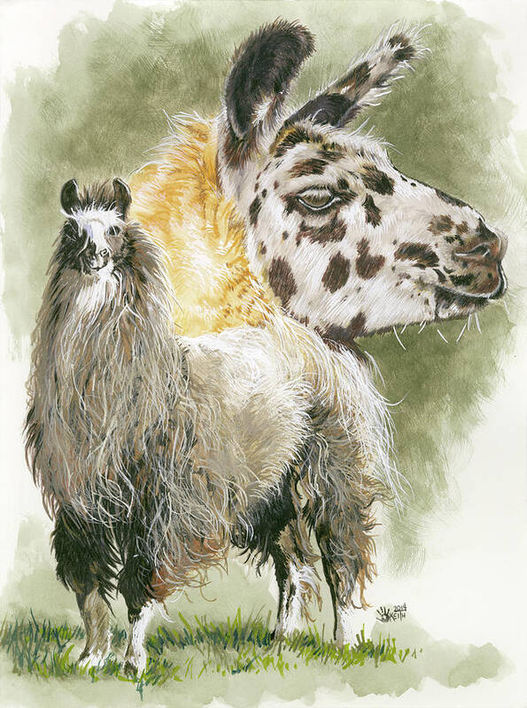 Llama Poster featuring the painting Peevish #1 by Barbara Keith