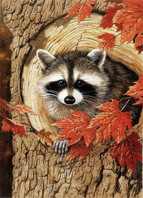 Raccoon Poster featuring the painting Raccoon #1 by William Vanderdasson