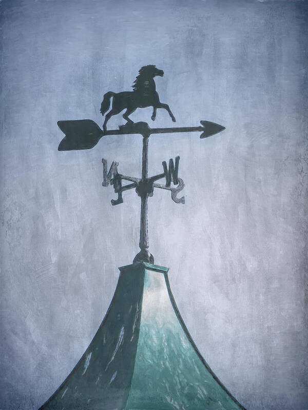 Running Free Weather Vane Poster featuring the photograph Running Free Weather Vane #1 by Leslie Montgomery
