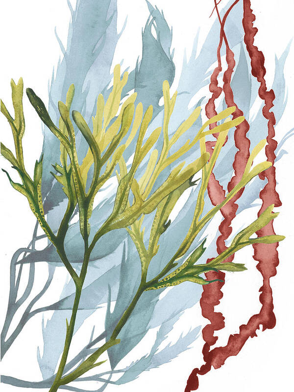 Coastal & Tropical Poster featuring the painting Seaweed Flow II #1 by Grace Popp