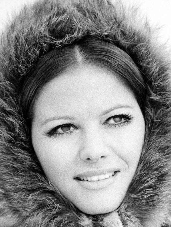 Claudia Cardinale Poster featuring the photograph Claudia Cardinale . #2 by Album