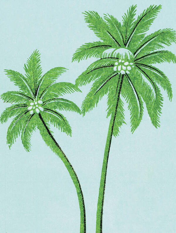 Blue Background Poster featuring the drawing Two Palm Trees #2 by CSA Images