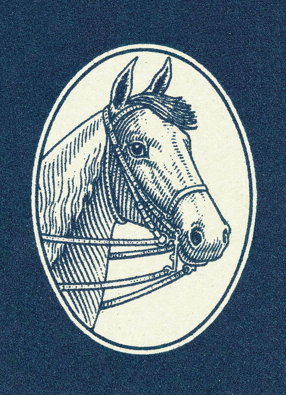Animal Poster featuring the drawing Horse #59 by CSA Images