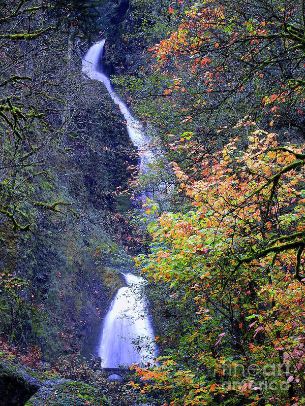 Waterfalls-oregon Poster featuring the photograph A Hidden Waterfall by Scott Cameron