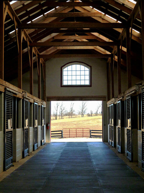 Kentucky Horse Barn Poster featuring the photograph A Kentucky View from the Barn by Mike McBrayer