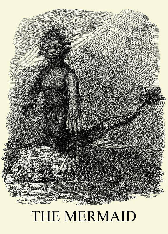 Mermaid Poster featuring the painting A mermaid, situated on a rock by J. Godby