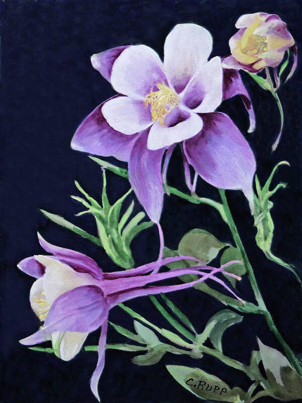 A Touch Of Purple Poster featuring the painting A Touch Of Purple by Carol J Rupp