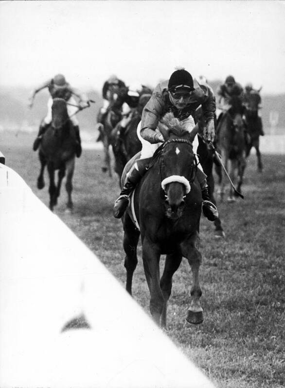 Ascot Racecourse Poster featuring the photograph Almeria At Ascot by Keystone