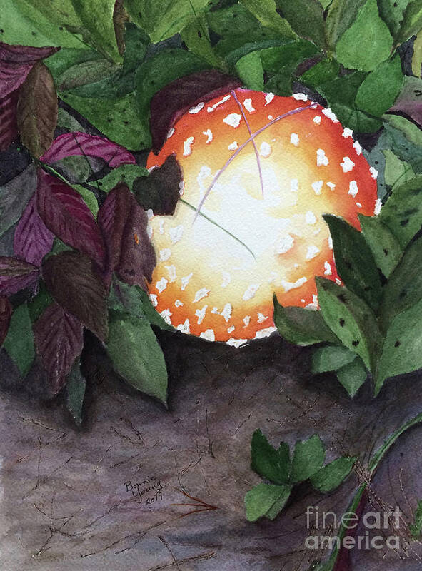 Mushroom Poster featuring the painting Amanita muscaria by Bonnie Young