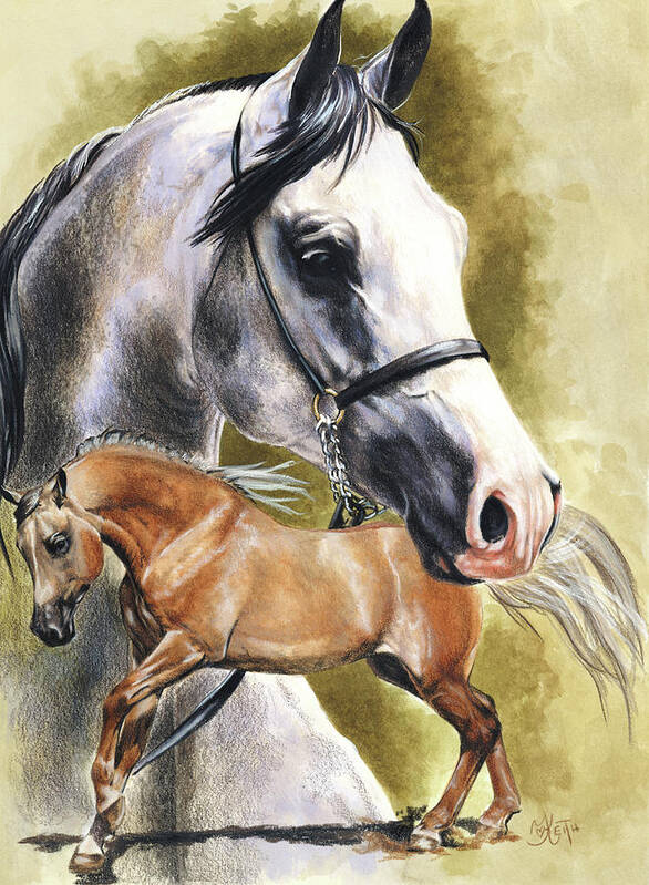 Anglo-arab Horses Poster featuring the painting Anglo-arab by Barbara Keith