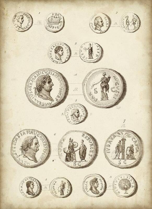 Wag Public Poster featuring the painting Antique Roman Coins IIi by Unknown
