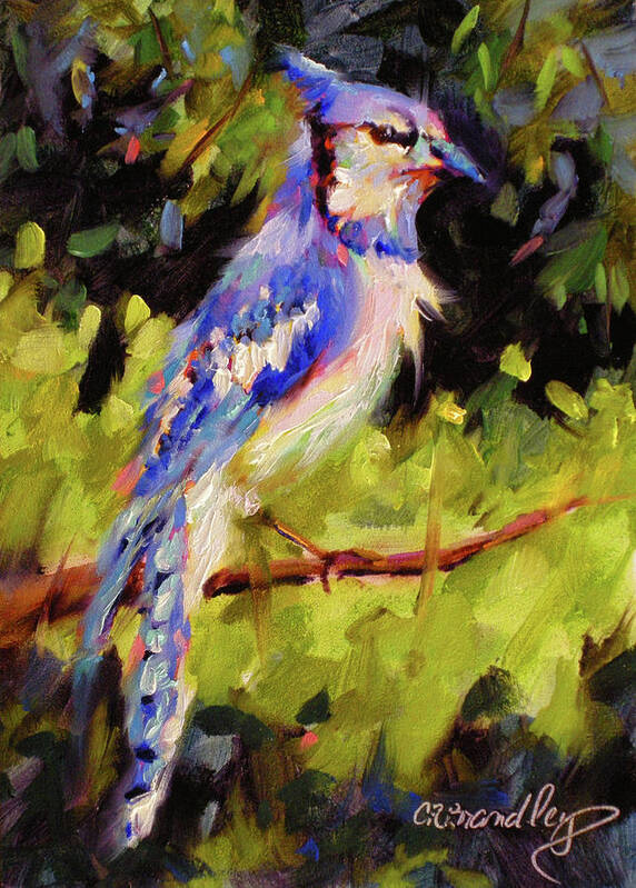 Blue Jay Poster featuring the painting Backyard Buddy by Chris Brandley