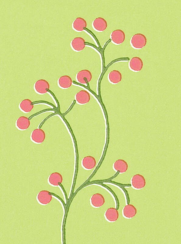Berry Poster featuring the drawing Berries on Branches by CSA Images