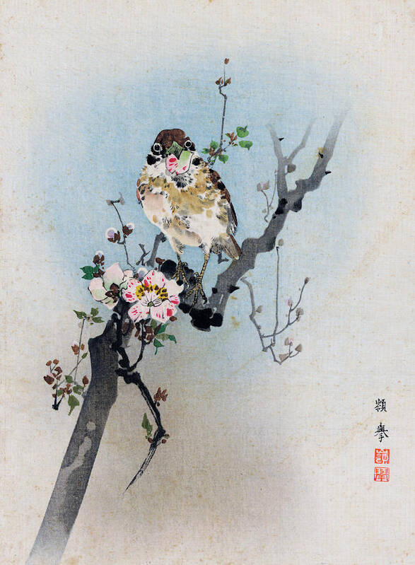 Rioko Poster featuring the painting Bird and Petal by Rioko
