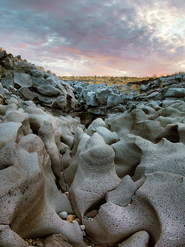 Idaho Scenics Poster featuring the photograph Black Magic Canyon Entrance by Leland D Howard