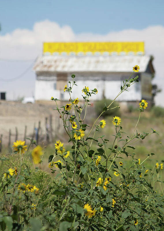 New Mexico Poster featuring the photograph Blanco Trading Post by Jonathan Thompson