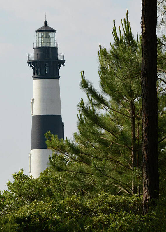 Bodie Island Poster featuring the photograph Bodie Island Lighthouse Through the Trees by Jimmie Bartlett