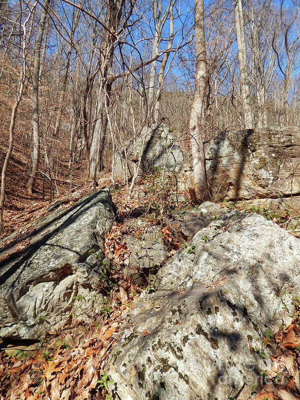 House Mountain Poster featuring the photograph Boulders Along The Trail by Phil Perkins