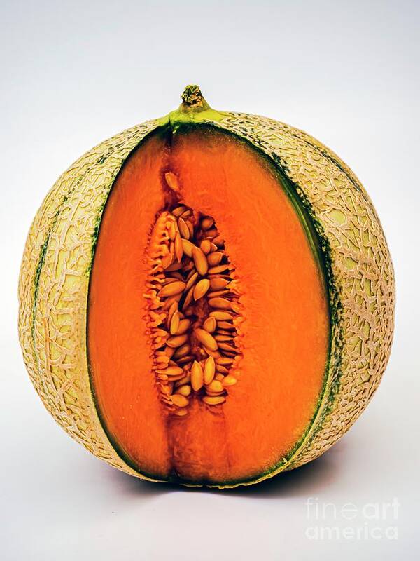 Cantaloupe Poster featuring the photograph Cantaloupe Melon Showing Seeds by Ian Gowland/science Photo Library