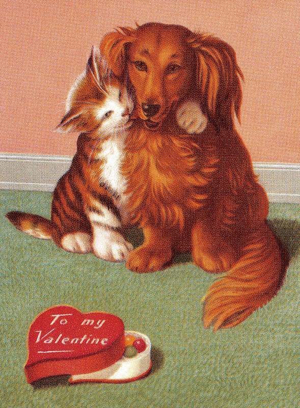 Affection Poster featuring the drawing Cat and Dog Valentine by CSA Images