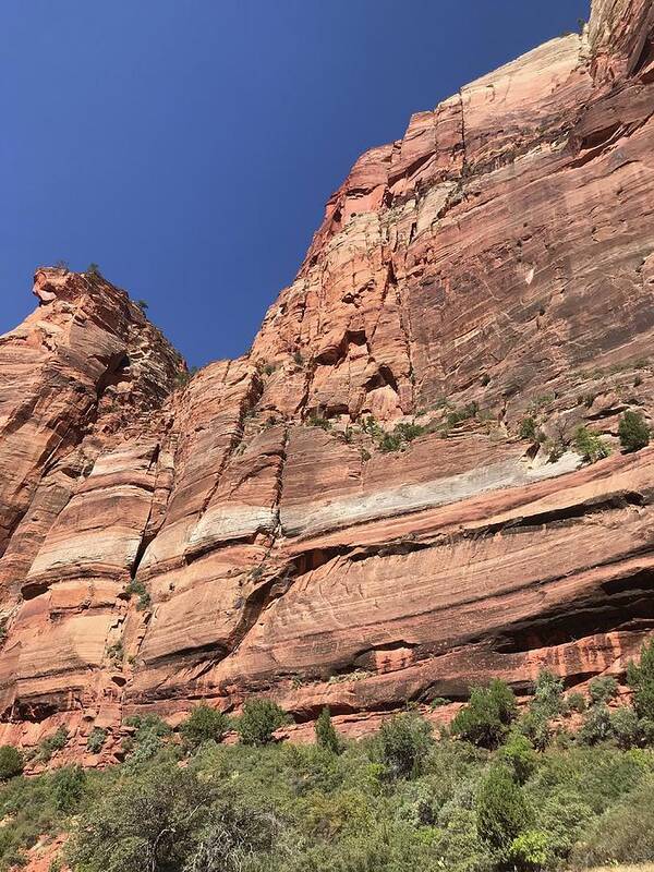 Cliffs Poster featuring the photograph Cliffs in Zion National Park by Cindy Bale Tanner