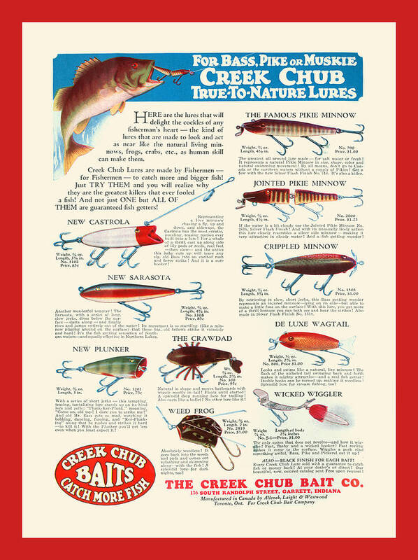 Fishing Poster featuring the painting Creek Chub Baits Catch More Fish by Unknown