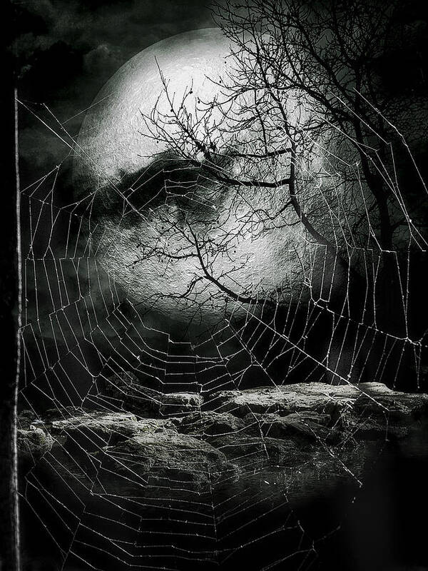 Moon Poster featuring the photograph Creepy Night by Nicolae Stefanel Rusu