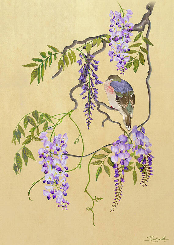 Dove Poster featuring the digital art Dove Sleeping in Wisteria Tree by M Spadecaller