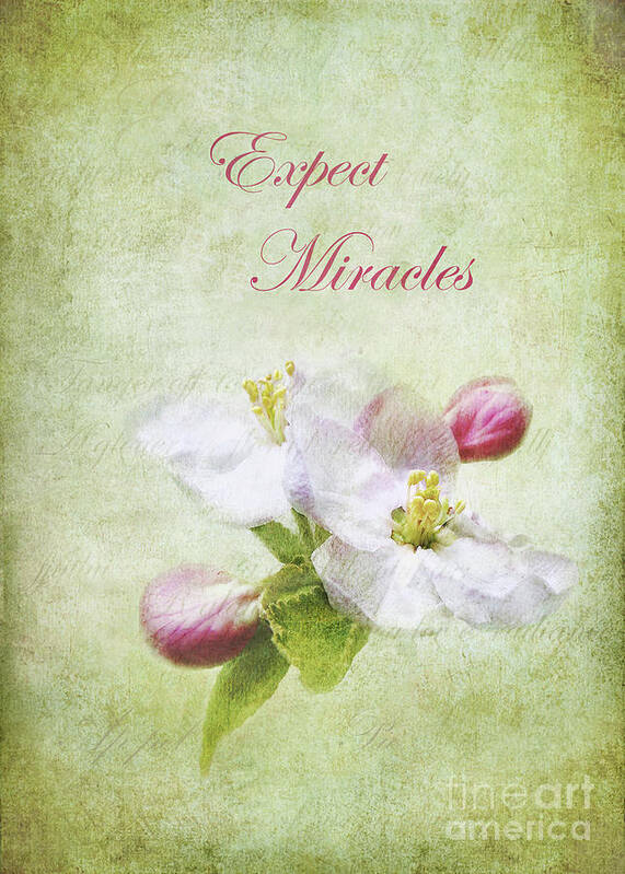 Quote Poster featuring the photograph Expect Miracles by Kathi Mirto