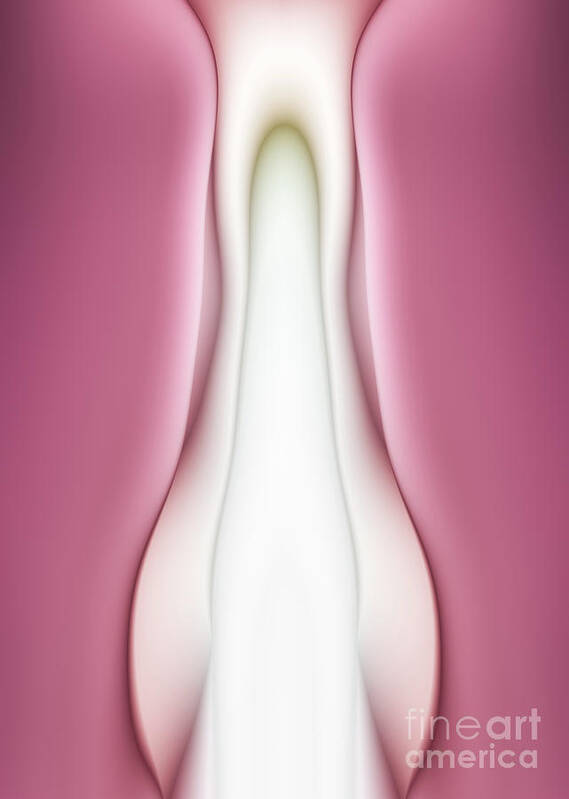 Curve Poster featuring the photograph Female Genitals Abstract Design by Xuanyu Han