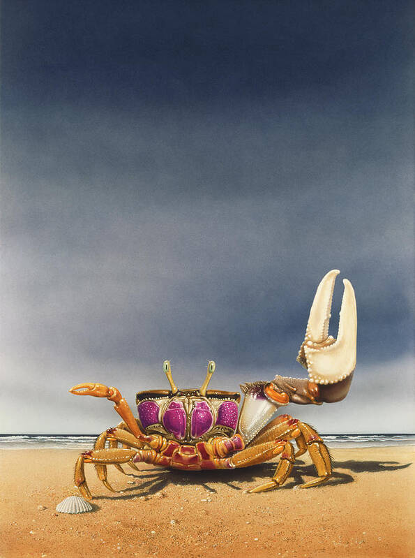 Fiddler Crab Poster featuring the painting Fiddler Crab by Harro Maass