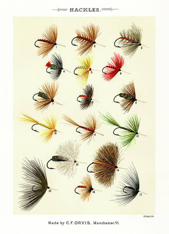 David Letts Poster featuring the drawing Fly Fishing Lures 1 by David Letts