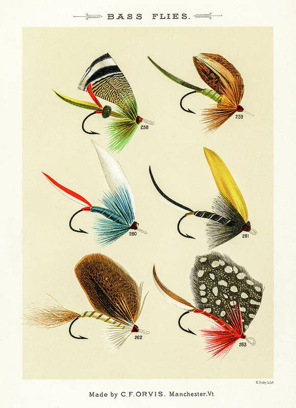 David Letts Poster featuring the drawing Fly Fishing Lures 27 by David Letts