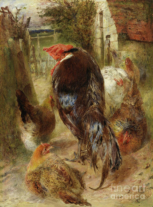 Rooster Poster featuring the painting Foreign Airs And Native Graces 1860 by William Huggins