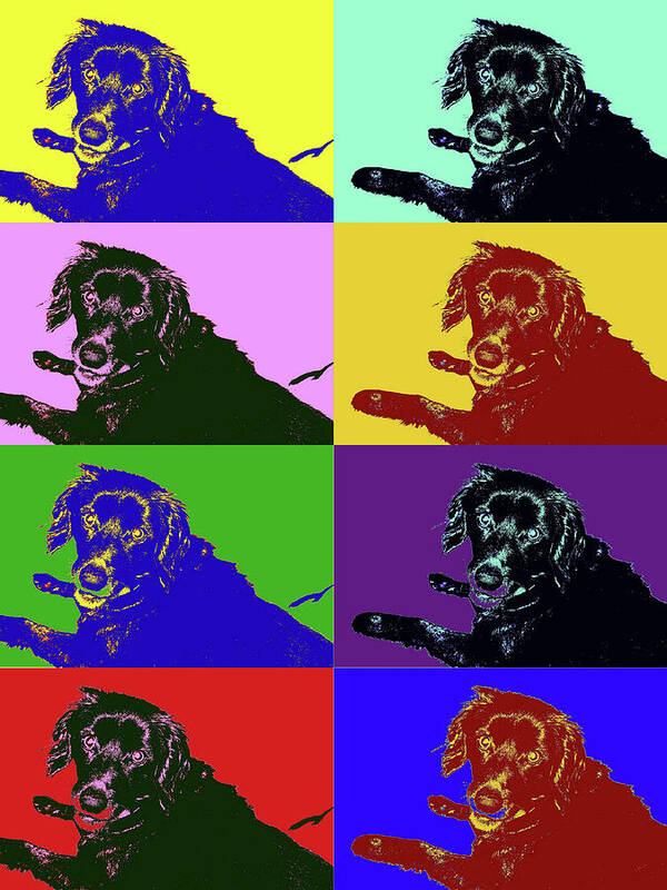 Dog Poster featuring the photograph Foster Dog Pop Art by Kathy K McClellan