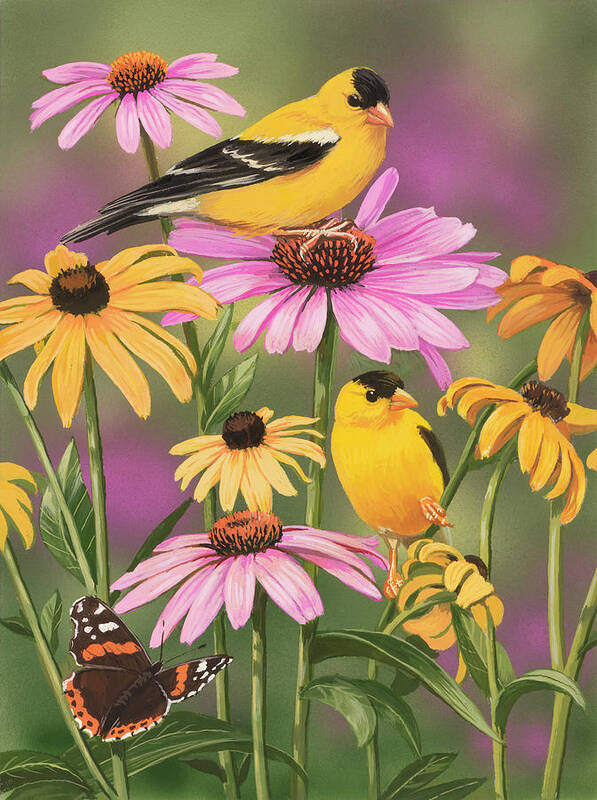 Gold Finches Poster featuring the painting Golden Finches by William Vanderdasson