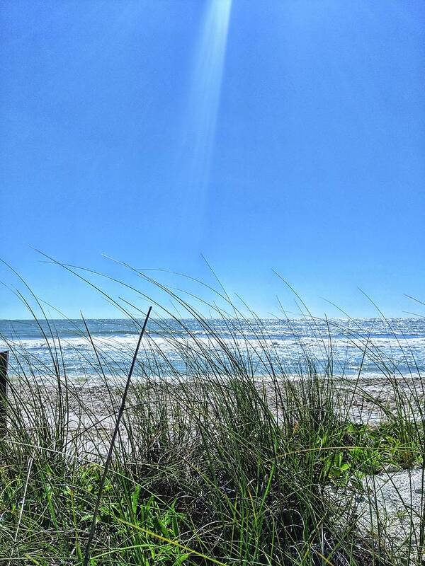 Beach Poster featuring the photograph Gulf Breeze by Portia Olaughlin