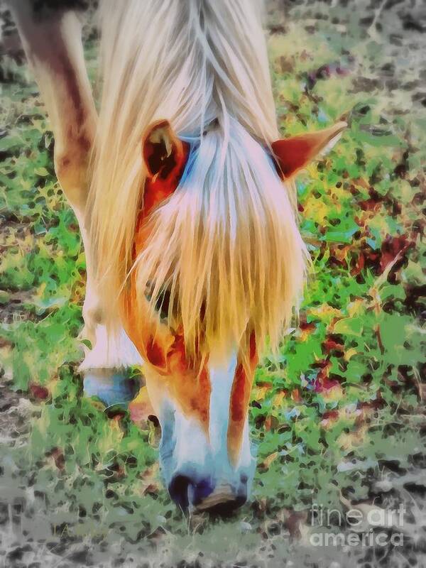 Horse Poster featuring the photograph Haflinger Pony Graze by Janine Riley