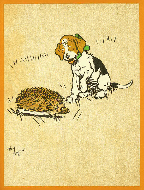 Book Illustration Poster featuring the drawing Puppy and Hedgehog, illustration of by Cecil Aldin