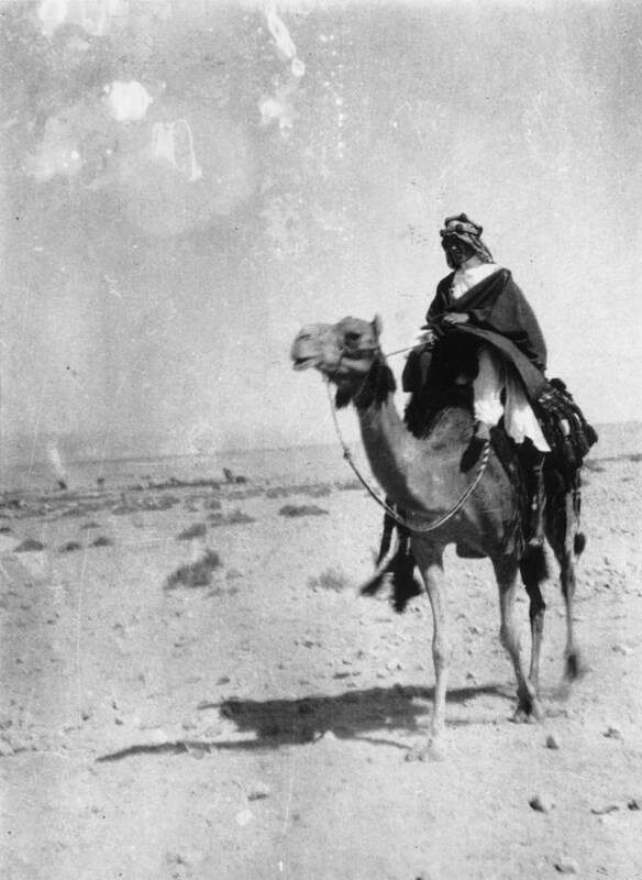 Adventure Poster featuring the photograph Lawrence Of Arabia by Hulton Archive