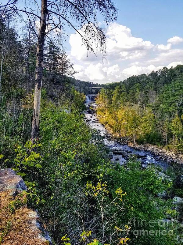 Little River Canyon Poster featuring the photograph Little River Canyon Alabama by Rachel Hannah