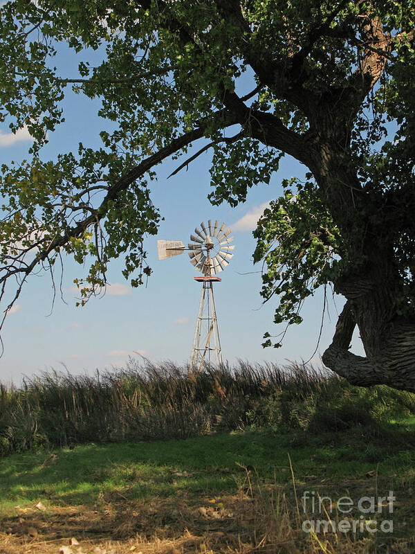 Texas Poster featuring the photograph Mallet Ranch Windmill by Nieves Nitta