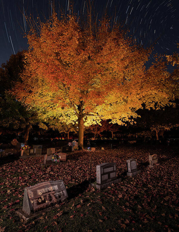 Fall Colors Poster featuring the photograph Maplewood Cemetery Orange by Hal Mitzenmacher