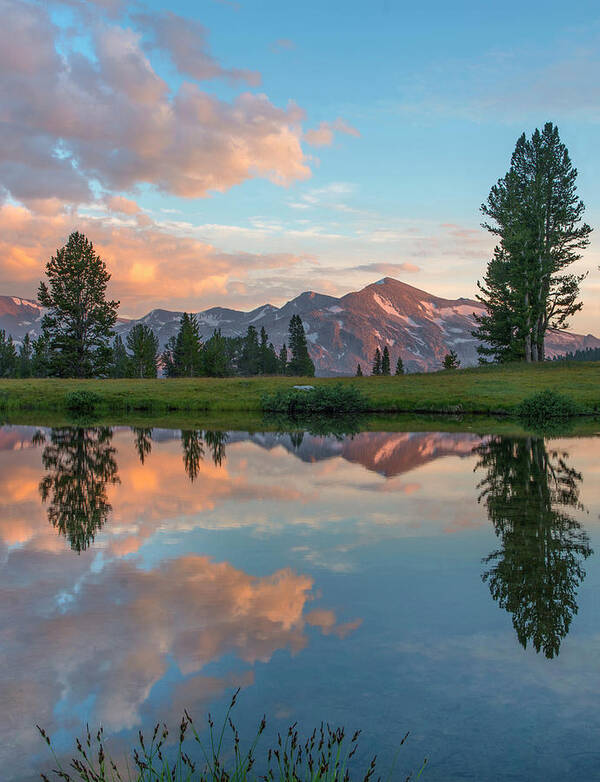 00574864 Poster featuring the photograph Mt. Dana Reflection, Tioga Pass #4 by Tim Fitzharris