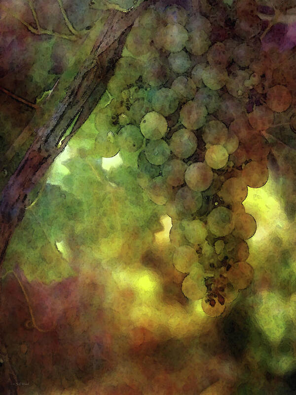 Impressionist Poster featuring the photograph Not Yet 2670 IDP_6 by Steven Ward