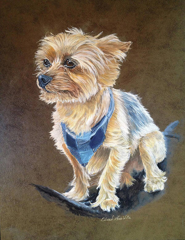 Oakley Yorkie Poster featuring the painting Oakley Yorkie by Eileen Herb-witte