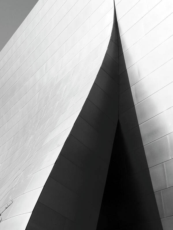 Photography Poster featuring the photograph Ode To Gehry 11 by Dag, Inc