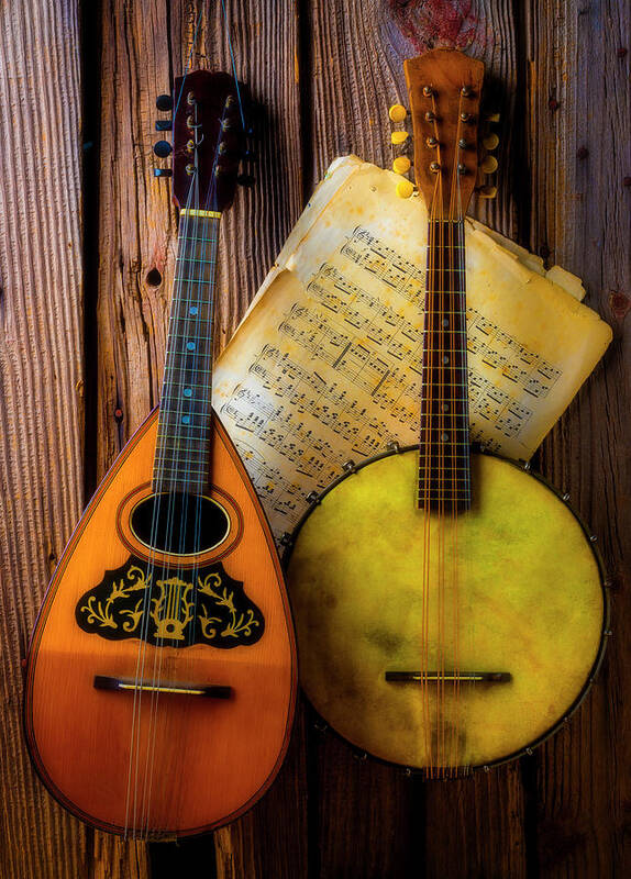 American Poster featuring the photograph Old Banjo And Mandolin by Garry Gay