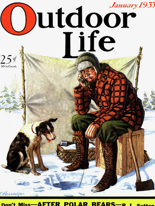 Hunting Dogs Poster featuring the painting Outdoor Life Magazine Cover January 1933 by Outdoor Life