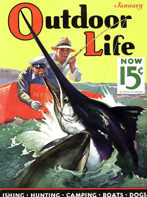 Swordfish Poster featuring the painting Outdoor Life Magazine Cover January 1936 by Outdoor Life